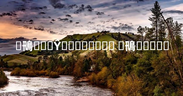 �鳵���Ŷ������ʺ� �鳵����Ǯ